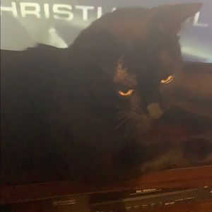 Meet your Posher, Stacy